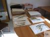 herbarium of the  Moravian museum