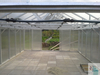 interior of bigger greenhouse