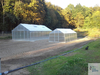 new greenhouses for rescue program in Dyk's nursery